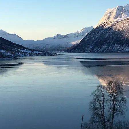 Apartmán With Fjord View