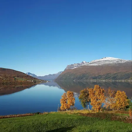 With Fjord View