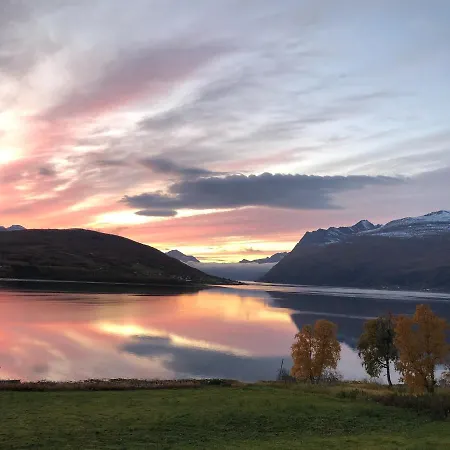With Fjord View *
